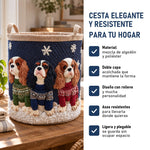Rey Carlos: cesta elegante y resistente, características