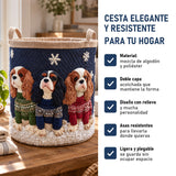 Rey Carlos: cesta elegante y resistente, características